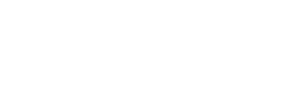 bronzeage logo